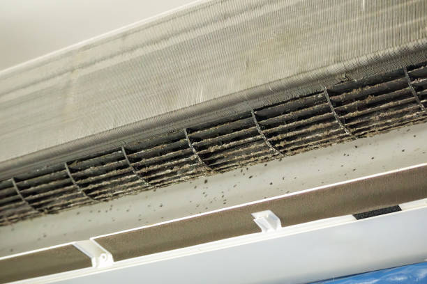 Best Commercial Air Duct Cleaning  in Montello, WI